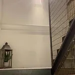 Vtz The Botanic Zaragoza