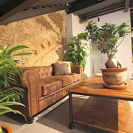 بيت شباب Vtz The Botanic *