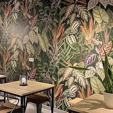 بيت شباب Vtz The Botanic سرقسطة