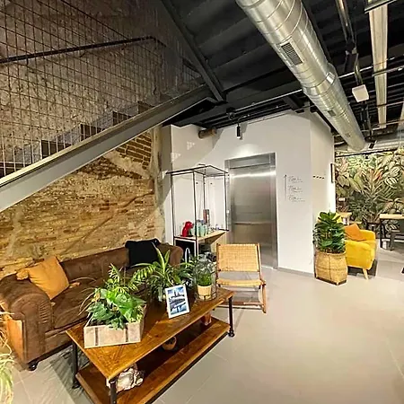 بيت شباب Vtz The Botanic سرقسطة