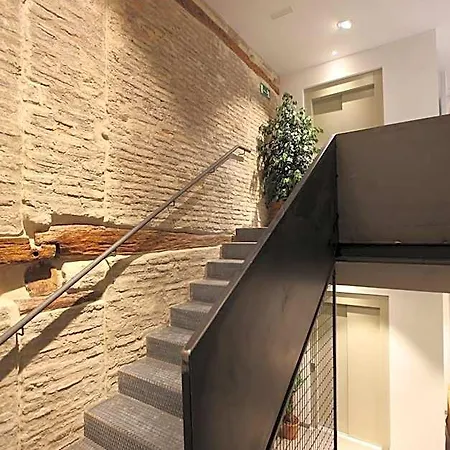 Vtz The Botanic Hostel *