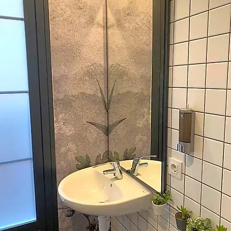 بيت شباب Vtz The Botanic *