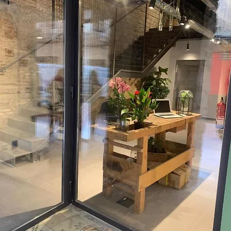 Vtz The Botanic بيت شباب سرقسطة