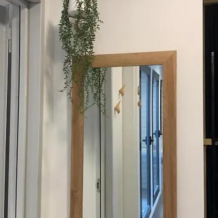 بيت شباب Vtz The Botanic *