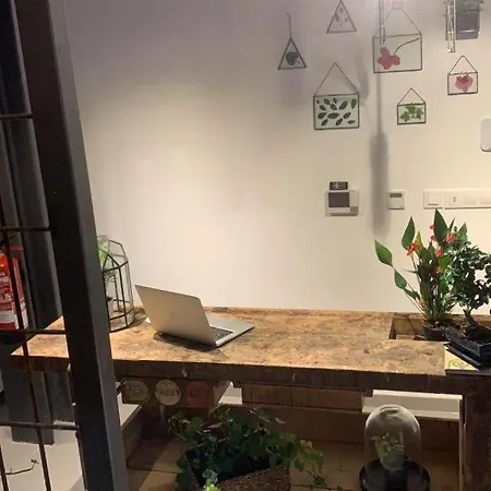 Vtz The Botanic * Saragosse