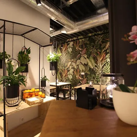 Vtz The Botanic سرقسطة