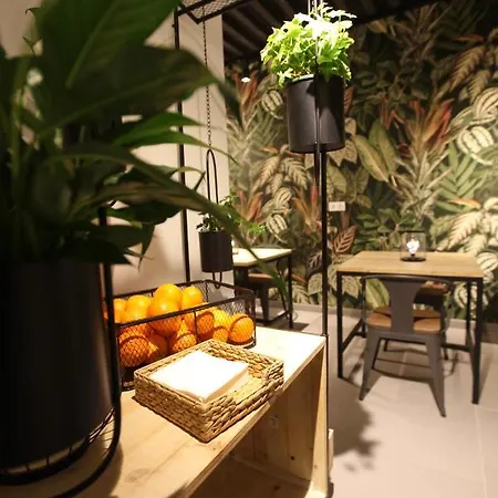 بيت شباب Vtz The Botanic