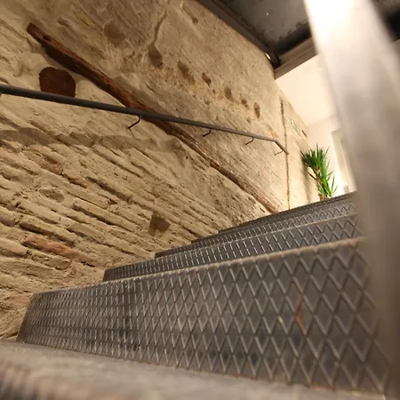 Auberge de jeunesse Vtz The Botanic *