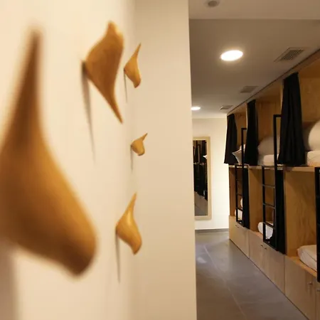 بيت شباب Vtz The Botanic