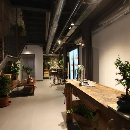 Hostal Vtz The Botanic Zaragoza