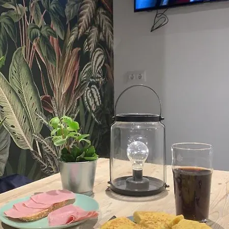Hostal Vtz The Botanic Zaragoza