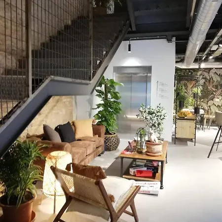 Vtz The Botanic Hostel