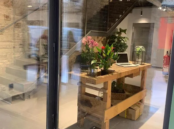 Vtz The Botanic Auberge de jeunesse Saragosse