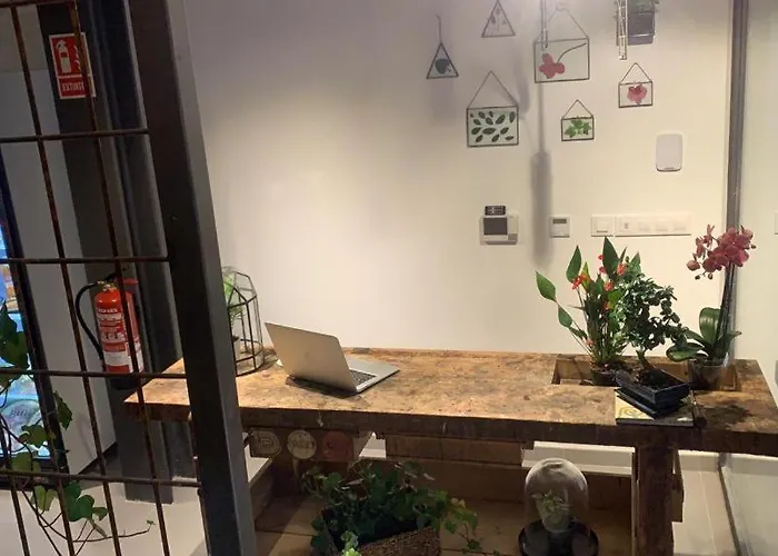 Vtz The Botanic * Saragosse